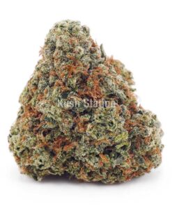 Buy Kiwi Punch AAA - Quadzilla Farms at Kush Station Online Store