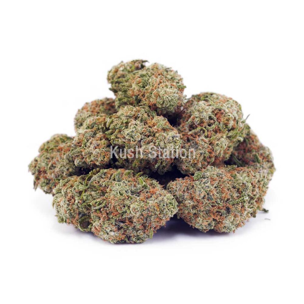 Buy Kiwi Punch AAA - Quadzilla Farms at Kush Station Online Store