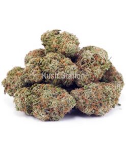 Buy Kiwi Punch AAA - Quadzilla Farms at Kush Station Online Store