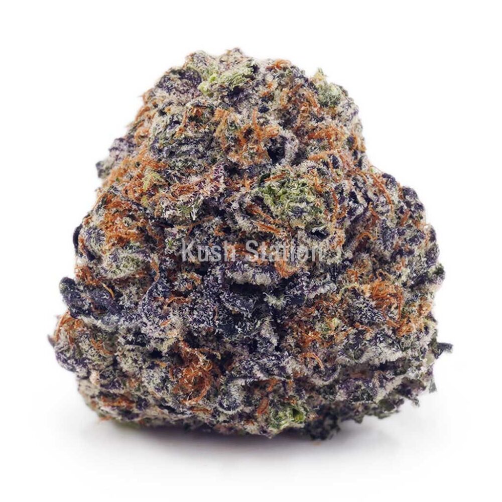 Buy Blackberry Fritter AAAA - Quads Only at Kush Station Online Store