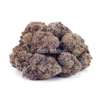 Buy Blackberry Fritter AAAA - Quads Only at Kush Station Online Store