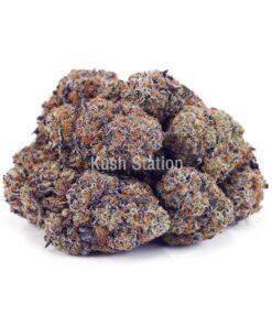 Buy Blackberry Fritter AAAA - Quads Only at Kush Station Online Store