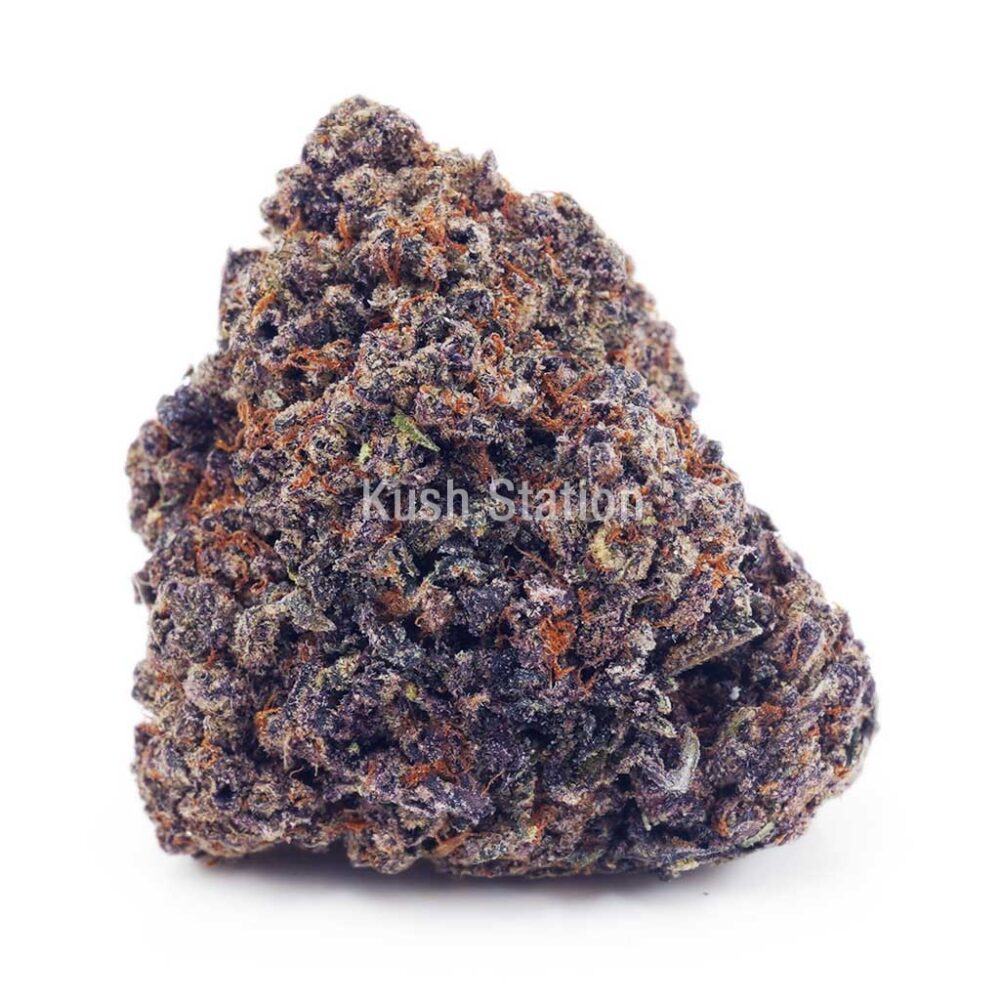 Buy Purple Frost AAAA - LSO Farms at Kush Station Online Store