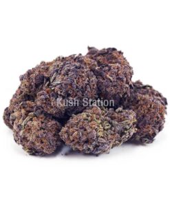 Buy Purple Frost AAAA - LSO Farms at Kush Station Online Store