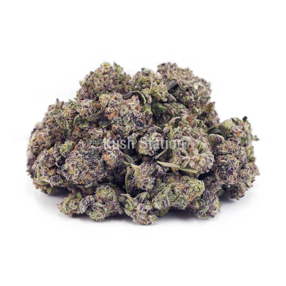 Buy Berry Gelato AAAA - (Popcorn Buds) at Kush Station Online Store