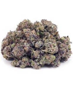 Buy Berry Gelato AAAA - (Popcorn Buds) at Kush Station Online Store
