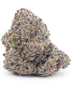 Buy Super Skunk AAA - Only Gas at Kush Station Online Store