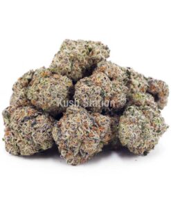 Buy Super Skunk AAA - Only Gas at Kush Station Online Store