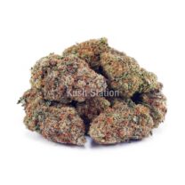 Buy Colombian Gold AA at Kush Station Online Store