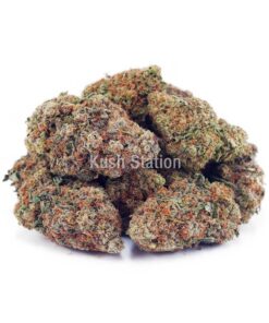 Buy Colombian Gold AA at Kush Station Online Store