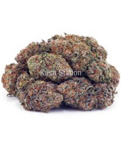Buy Green Goblin AA at Kush Station Online Store
