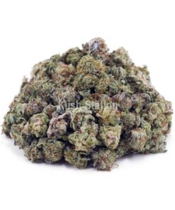 Buy White Russian AAAA - (Popcorn Buds) at Kush Station Online Store
