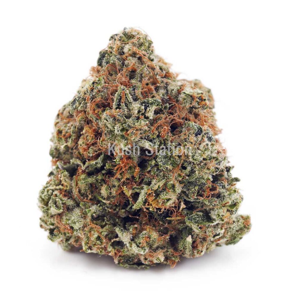Buy Amnesia Haze AA at Kush Station Online Store