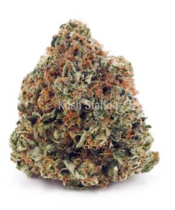 Buy Amnesia Haze AA at Kush Station Online Store