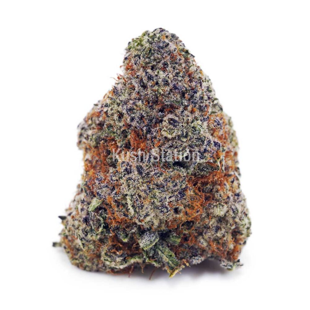 Buy Snoops Dream AAAA at Kush Station Online Shop