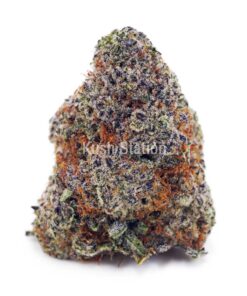 Buy Snoops Dream AAAA at Kush Station Online Shop