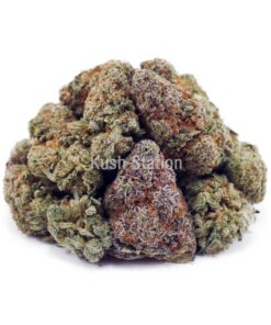 Buy Snoops Dream AAAA at Kush Station Online Shop