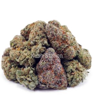 Buy Snoops Dream AAAA at Kush Station Online Shop