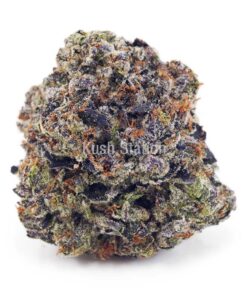 Buy Island Pink Kush (Craft Cannabis) at Kush Station Online Shop