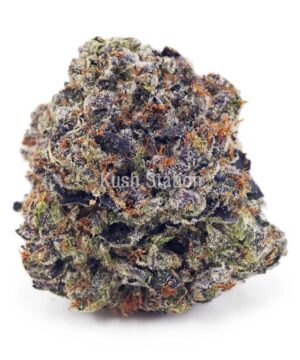 Buy Island Pink Kush (Craft Cannabis) at Kush Station Online Shop