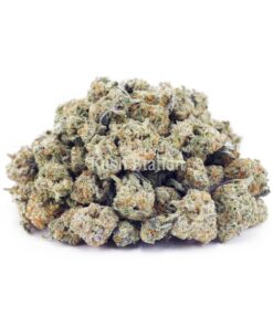 Buy Powdered Donuts AAAA - (Popcorn Buds) at Kush Station Online Shop