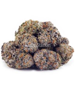 Buy Grape Crush AAAA at Kush Station Online Shop