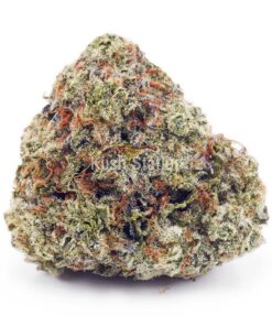 Buy Super Silver Haze AAAA at Kush Station Online Shop