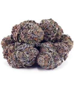 Buy Pink Rozay AAAA at Kush Station Online Store