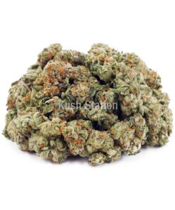 Buy Dolato AAAA - (Popcorn Buds) at Kush Station Online Shop