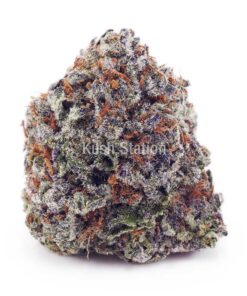 Buy Grape Stomper AAAA - Quads Only at Kush Station Online Store