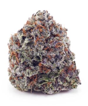 Buy Grape Stomper AAAA - Quads Only at Kush Station Online Store