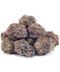Buy Grape Stomper AAAA - Quads Only at Kush Station Online Store