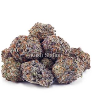 Buy Grape Stomper AAAA - Quads Only at Kush Station Online Store