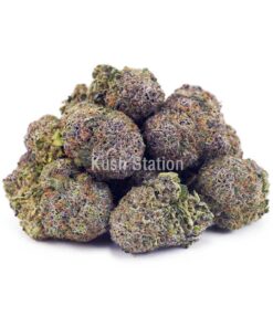 Buy Incredible Grape Ape (Craft Cannabis) - LSO Farms at Kush Station Online Store