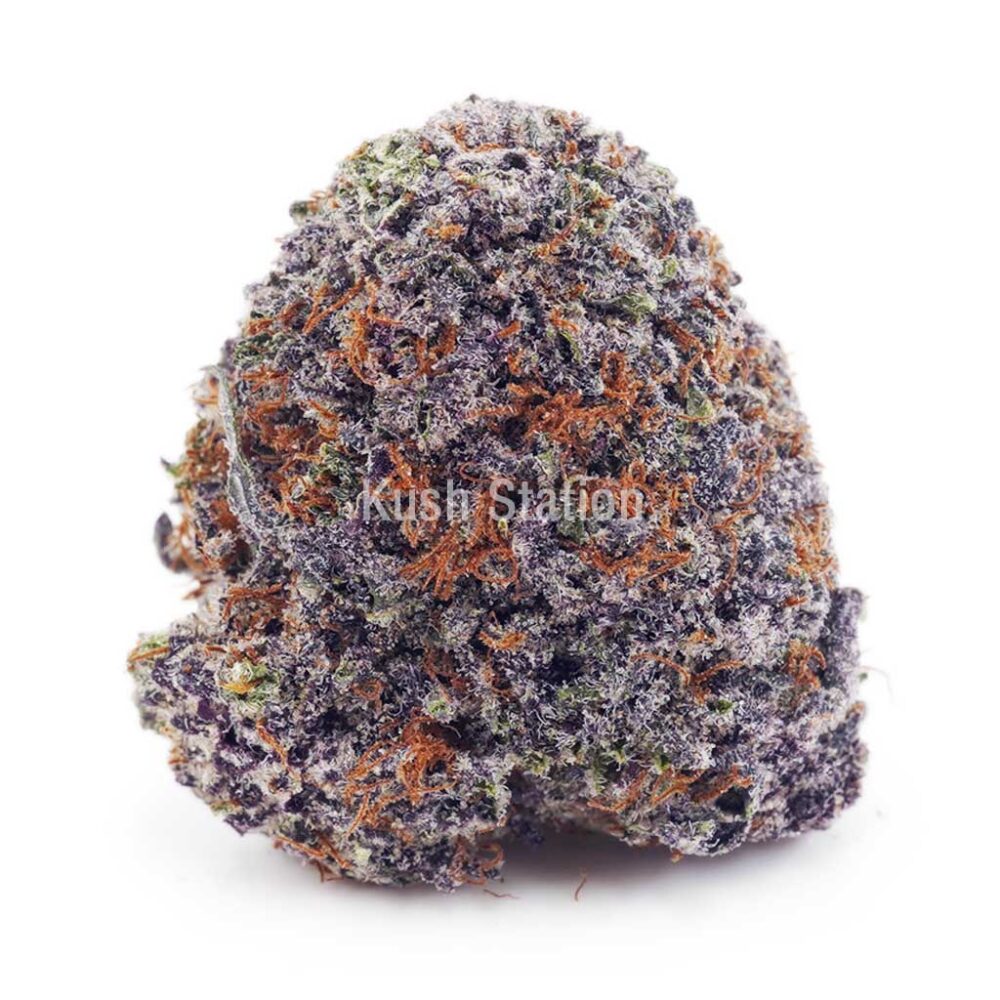 Buy Pineapple Creamsicle (Craft Cannabis) - Only Gas at Kush Station Online Store