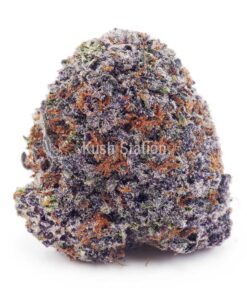 Buy Pineapple Creamsicle (Craft Cannabis) - Only Gas at Kush Station Online Store