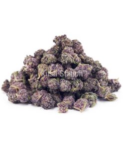 Buy Purple Rose AAAA - (Popcorn Buds) at Kush Station Online Strore