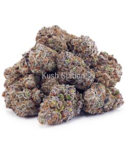 Buy Supreme Frosted Donuts (Craft Cannabis) - BC Craft at Kush Station Online Store
