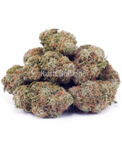 Buy Guava Cookies AAAA - High Grade Farms at Kush Station Online Store