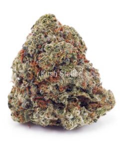 Buy Alaskan Thunder Fuck AAAA at Kush Station Online Store