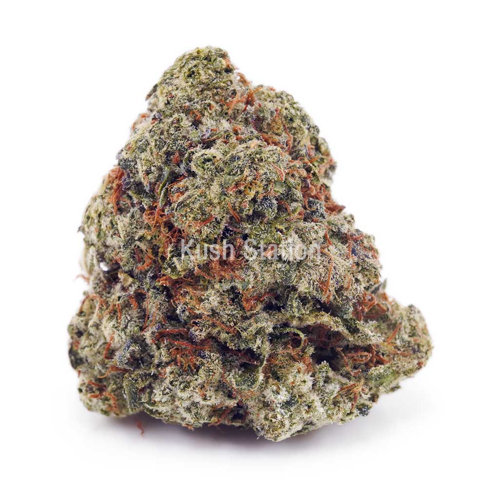 Buy Alaskan Thunder Fuck AAAA at Kush Station Online Store