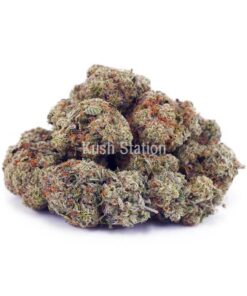 Buy Alaskan Thunder Fuck AAAA at Kush Station Online Store