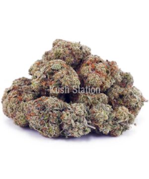 Buy Alaskan Thunder Fuck AAAA at Kush Station Online Store