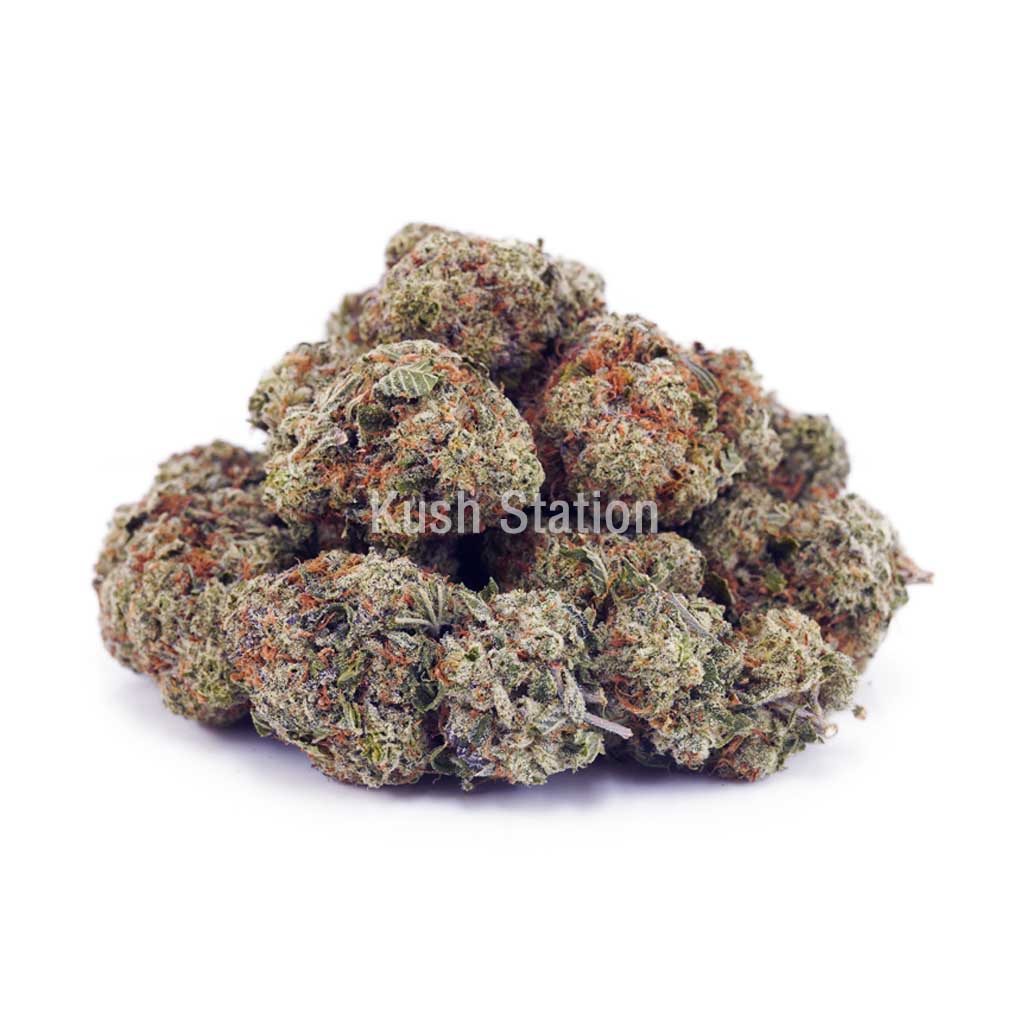Buy Alaskan Thunder Fuck AAAA at Kush Station Online Store