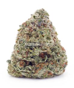 Buy Northern Lights AAA at Kush Station Online Store