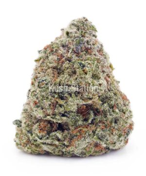 Buy Northern Lights AAA at Kush Station Online Store
