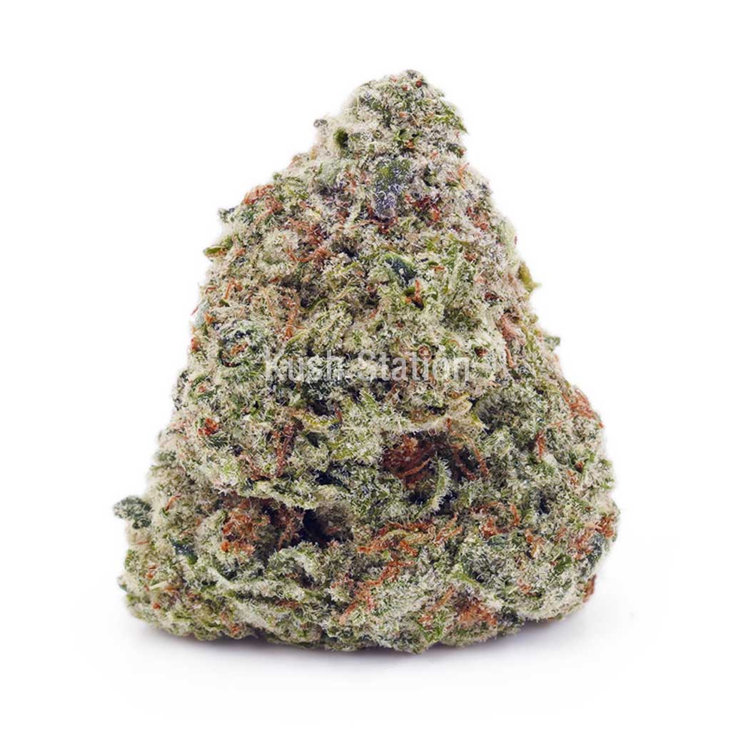 Buy Northern Lights AAA at Kush Station Online Store
