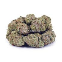 Buy Northern Lights AAA at Kush Station Online Store