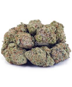 Buy Northern Lights AAA at Kush Station Online Store