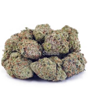 Buy Northern Lights AAA at Kush Station Online Store